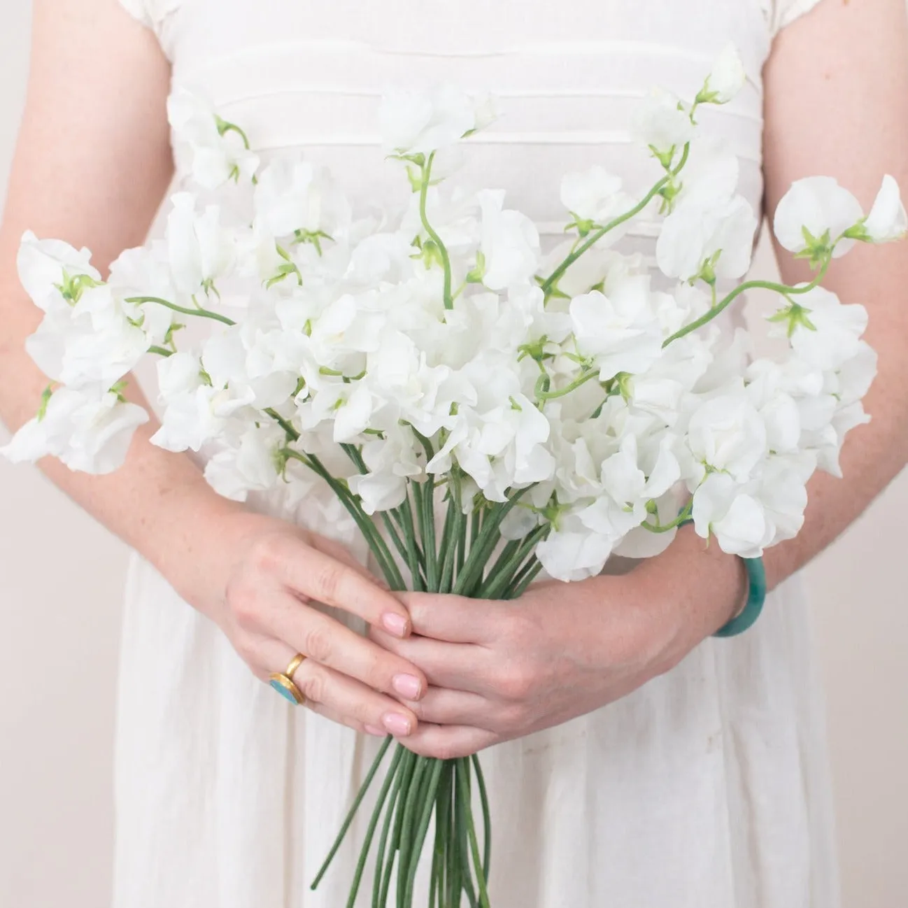 White Sweet Pea